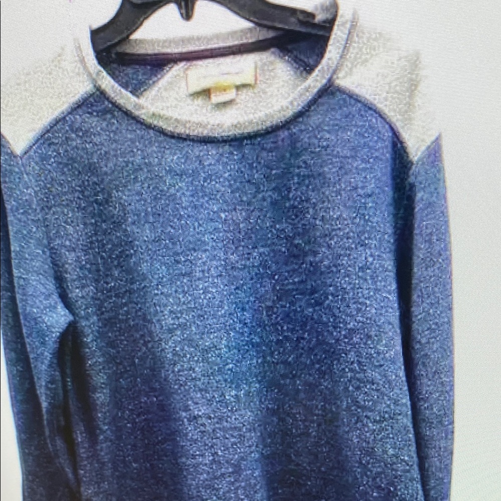 TOMMY BAHAMA Crew Neck Sweatshirt Pullover Top Blue Gray Women's Large